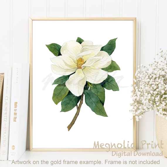 White Magnolia Flower, Magnolia Wall Art, Vintage Style, Above Bed Art, Floral Blooming, Wild Flower, Illustration, Poster DIGITAL DOWNLOAD