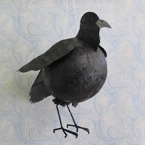 May include: A round, black bird piñata with a spherical body, textured wings, and a pointed beak. The bird features dark plumage, thin black legs, and is suspended by a thin white string, creating a three-dimensional representation of a crow.