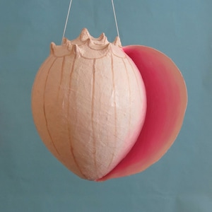 May include: A pink and white paper mache seashell hanging from a string. The seashell has a textured surface and a slightly open shape.