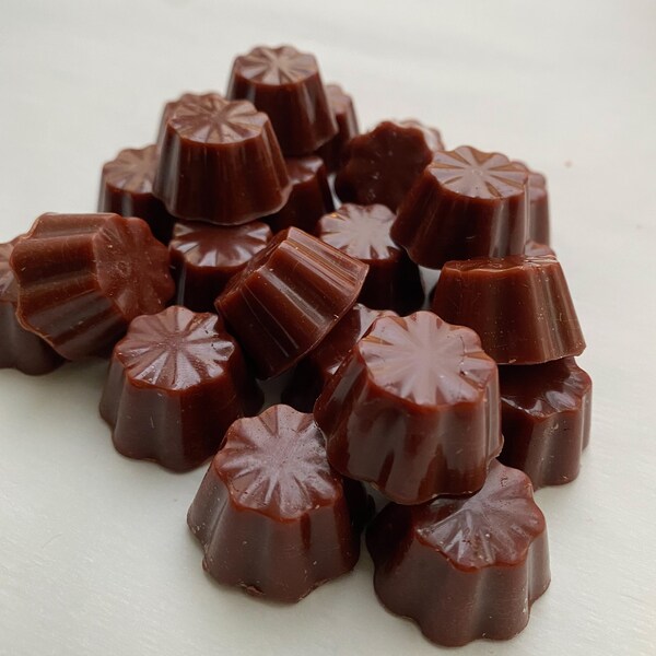 Wax Melt:  Chocolate Coconut Truffles, Highly Scented Wax Melt for Wax Warmer / Melter, Bakery Scent, Fake Food