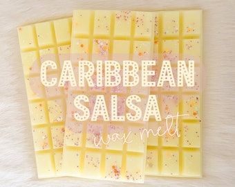 WAX MELT: Caribbean Salsa | Highly Scented  Snap Bar, Fruity Scent, Tropical Scent, Home Fragrance for Wax Warmer