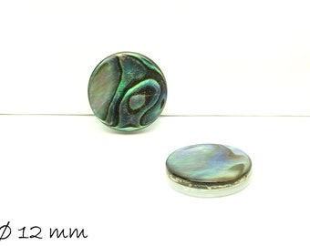 Cabochons, Abalonen Perlmutt, 12 mm, blau, bunt