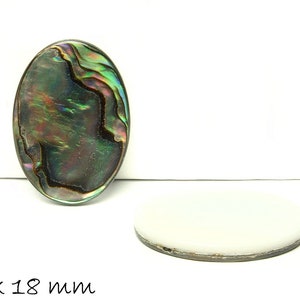 Op de afbeelding: Ovale abalone schelp cabochon met iriserende groene, blauwe en paarse tinten. De schelp meet 25 x 18 mm.