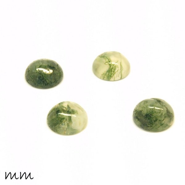 Edelstein Cabochons, Moos Achat, 8 mm