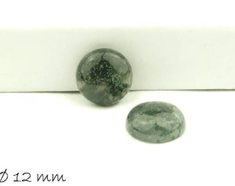 2 cabochon, agata muschiata, 12 mm