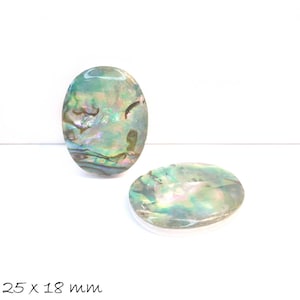 Può includere: Due cabochon ovali in madreperla di abalone iridescente. Le conchiglie sono di colore verde chiaro con sfumature di rosa e blu. Le conchiglie misurano 25 x 18 mm.
