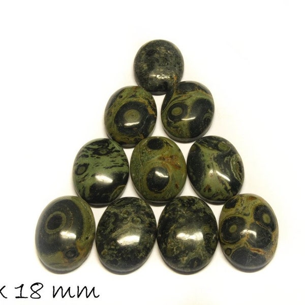 1 PCs cabochon jaspe Kambaba 25 x 18 mm