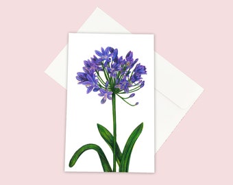 Agapanthus - Illustrated Greeting Card