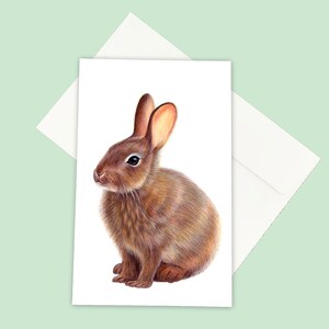 Coelhinho - Cartão Ilustrado de Saudações de Páscoa de Primavera