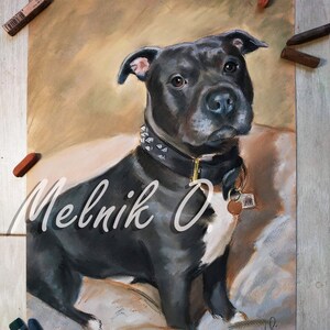May include: A pastel drawing of a black and white Staffordshire Bull Terrier sitting on a tan couch. The dog is wearing a black studded collar with a silver tag. The artist's signature is in the bottom right corner.