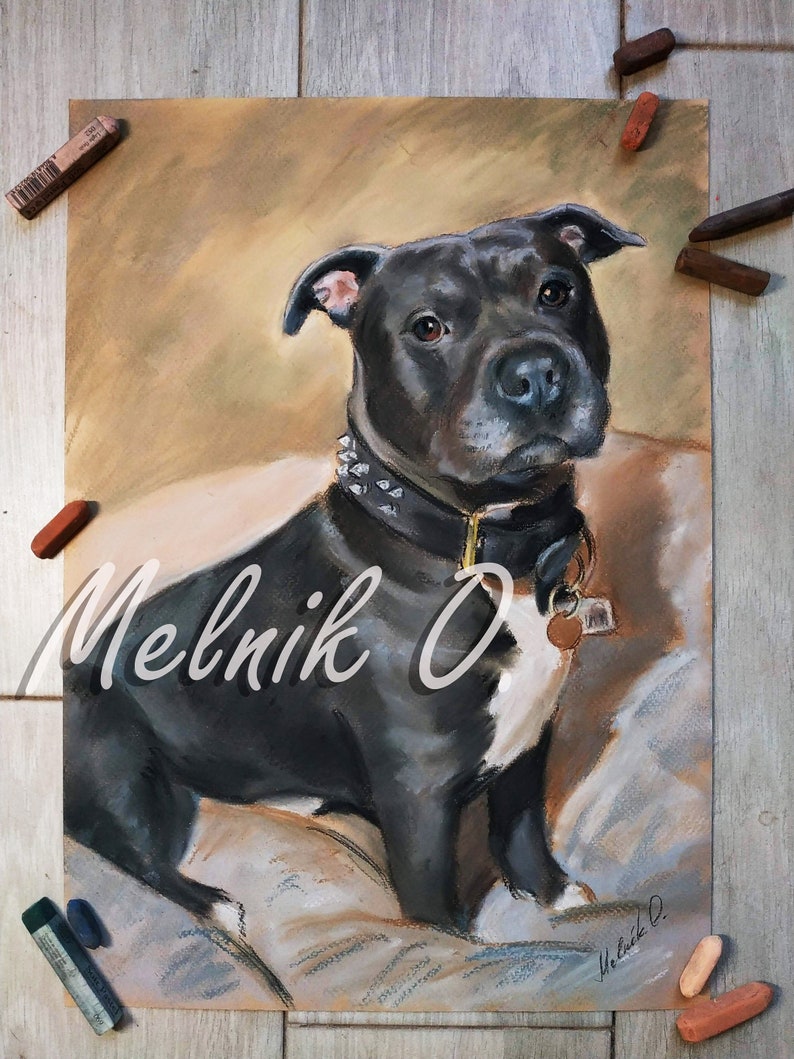 May include: A pastel drawing of a black and white Staffordshire Bull Terrier sitting on a tan couch. The dog is wearing a black studded collar with a silver tag. The artist's signature is in the bottom right corner.