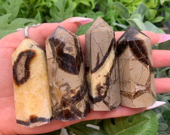 Septarian Dragon Stone Crystal Point/Tower (Qty: 1) (Lot 14)