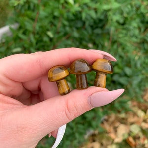 Carved Tiger’s Eye Mini Mushroom (Qty: 1)