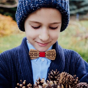 Può includere: Un giovane con un cappello di lana blu con un pon pon e un maglione blu tiene un mazzo di pigne. Indossa un papillon di legno con una striscia rossa.