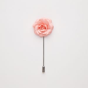 A single pink flower on a white background.