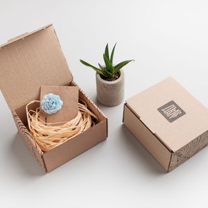 May include: Two cardboard boxes, one open and one closed. The open box contains a light blue flower and shredded paper. The closed box has the text "Dear Diary" printed on it. A small potted succulent plant is in the background.