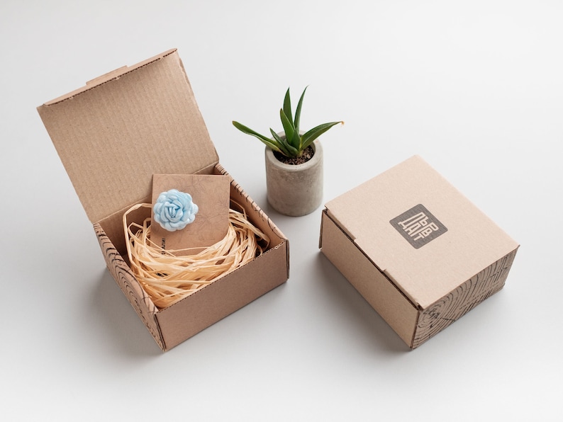 May include: Two cardboard boxes, one open and one closed. The open box contains a light blue flower and shredded paper. The closed box has the text "Dear Diary" printed on it. A small potted succulent plant is in the background.