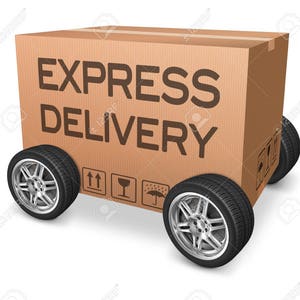 Additional Payment for Express shipping