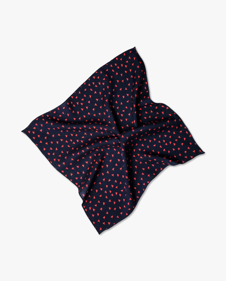 Pochette de costume fleurie - France
