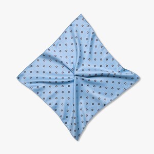 May include: A light blue pocket square with a white and dark blue floral pattern.