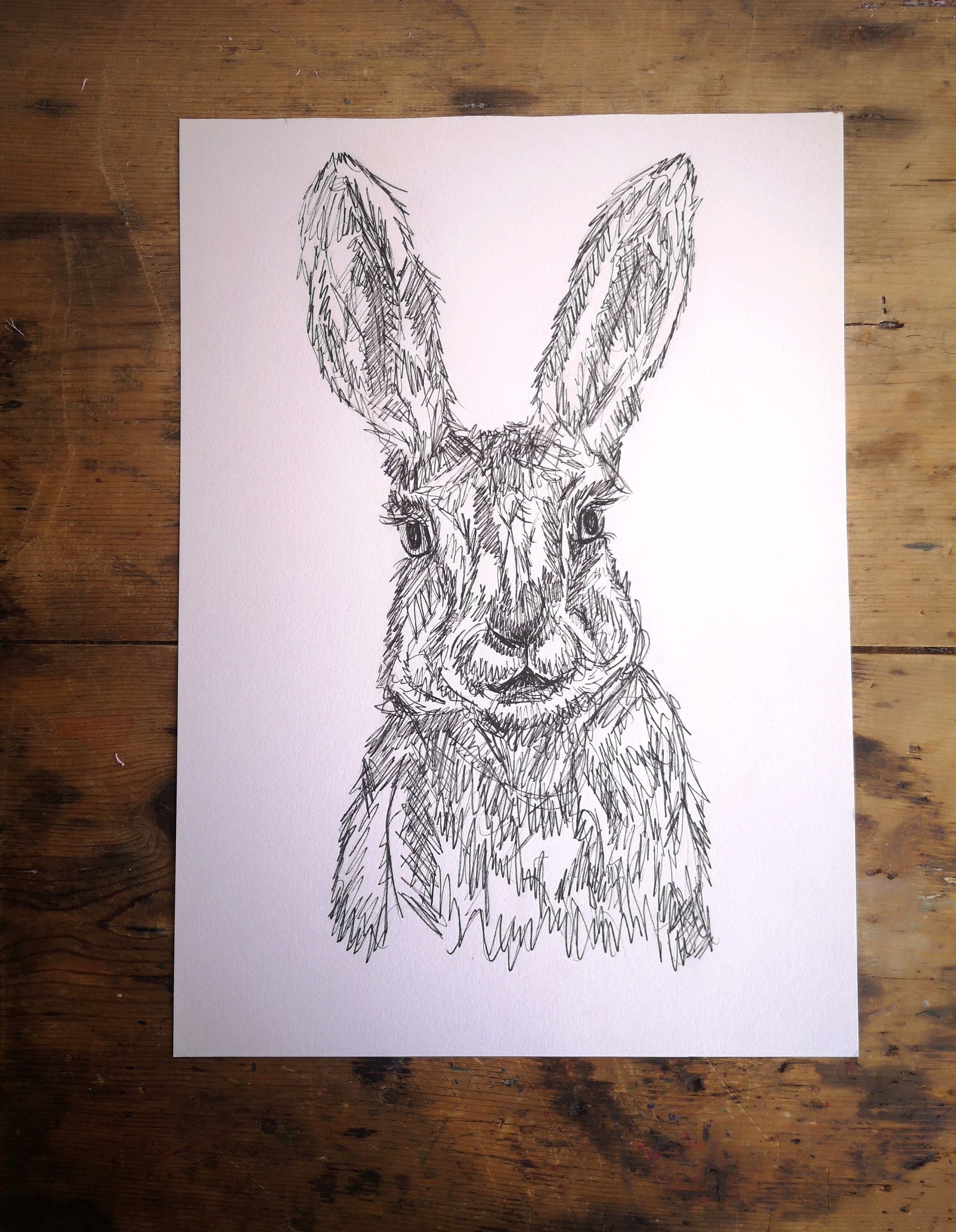 新しい手描きの白黒オリジナルうさぎの絵 - Etsy 日本