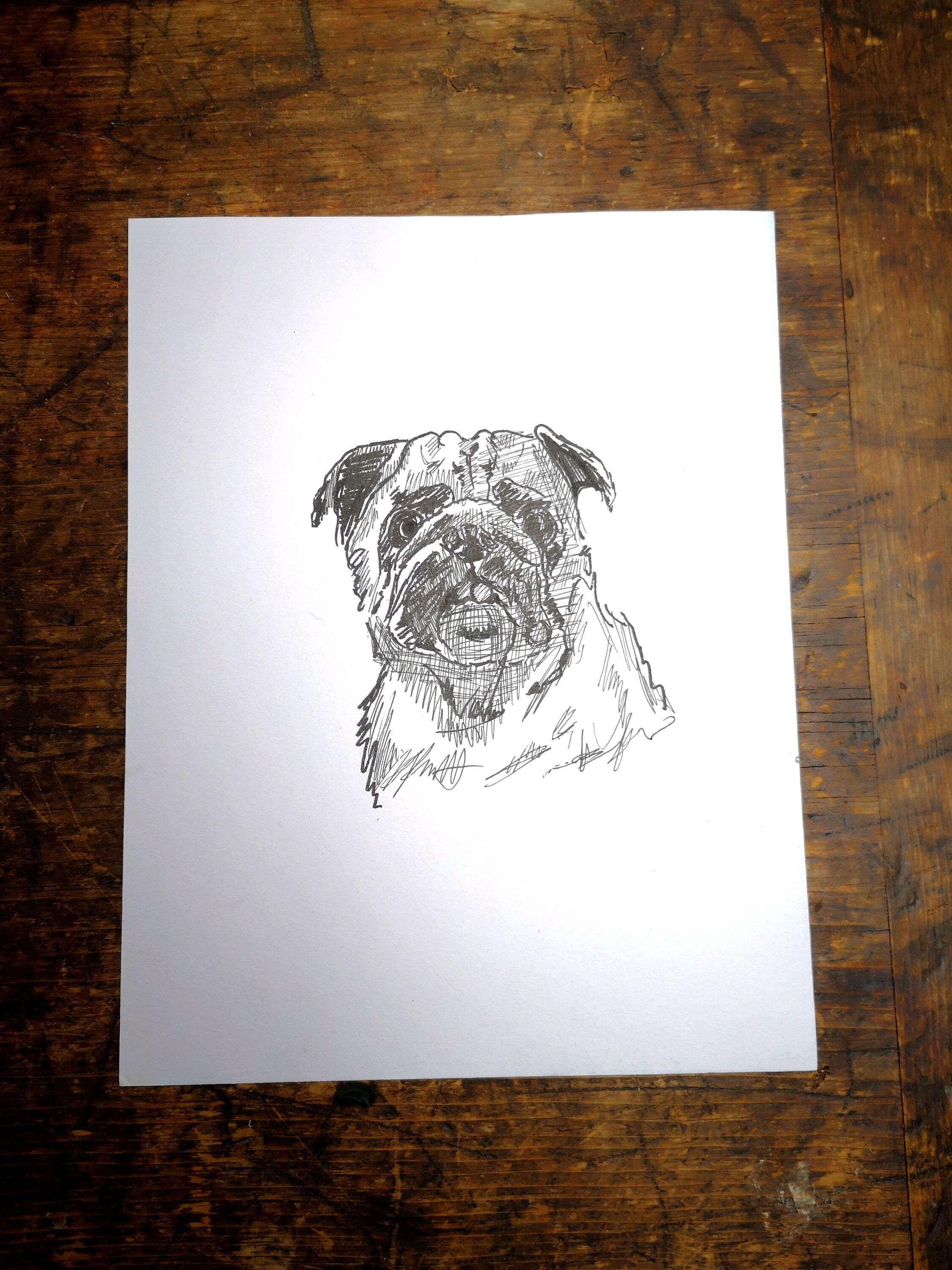 手描きの白黒オリジナル犬、パグの絵 - Etsy 日本