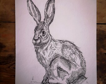 SOLD OUT hand drawn black and white original hare picture