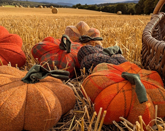 New Harris Tweed pumpkin decoration