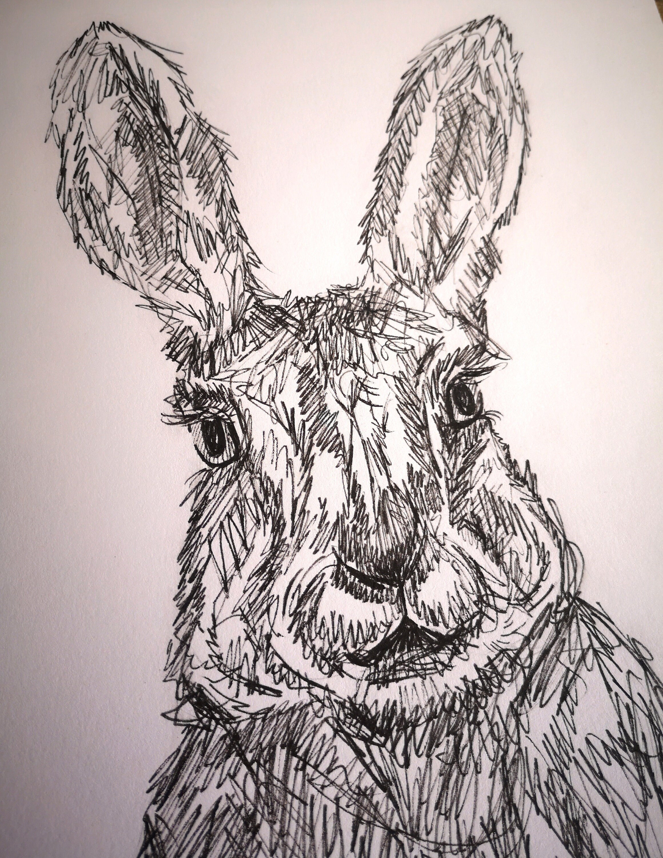 新しい手描きの白黒オリジナルうさぎの絵 - Etsy 日本
