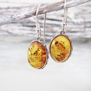 Poland Baltic Amber Earrings, Honey Baltic Amber Earrings, Oval Amber Earrings, Inclusion Fossil, Sterling Silver Earrings