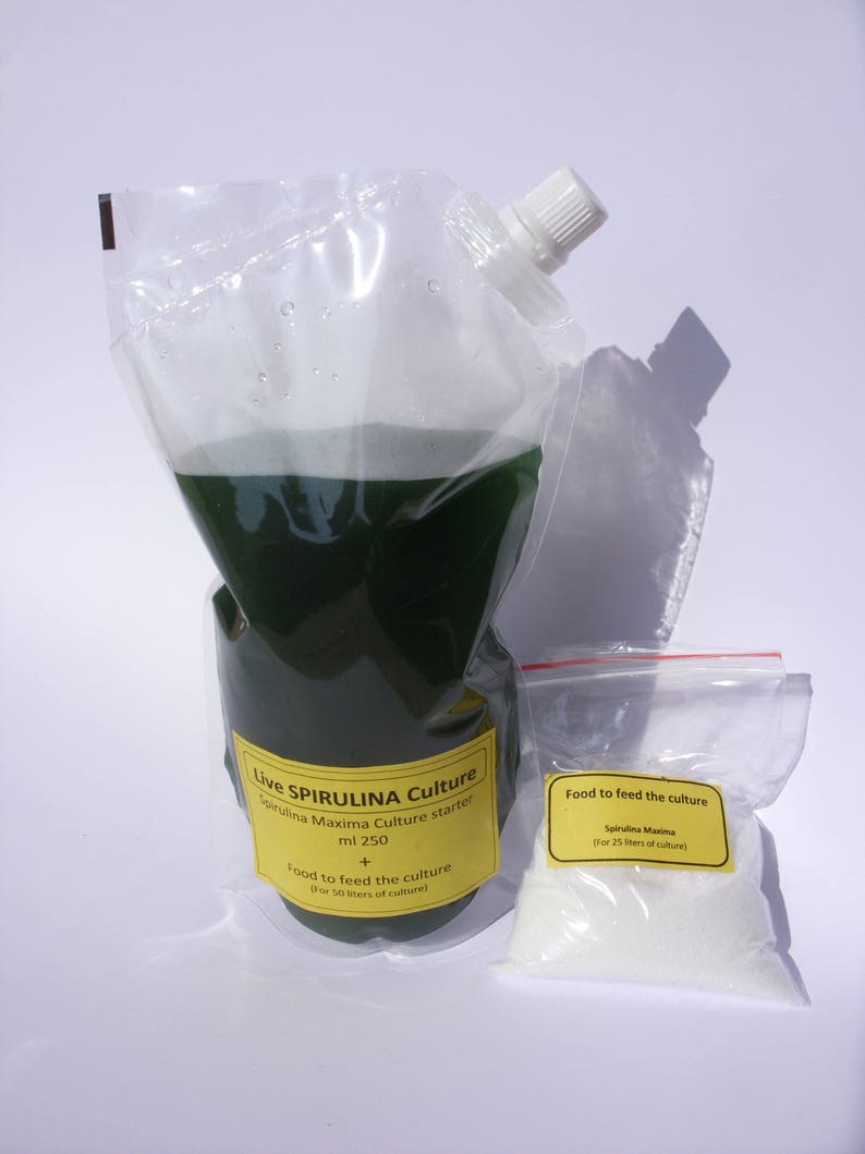 Spirulina Maxima Live starter ml 500 inoculo fertilizzante Etsy