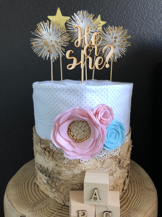 Pink And Blue Rustic Fireworks Gender Reveal Birch Diaper Cake Etsy