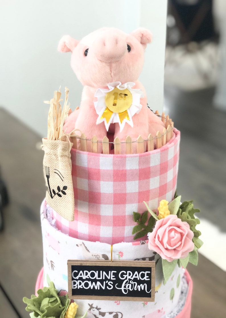 Pink Farm w/Pig, Cow, Corn, Cabbage and Felt Flowers Diaper Cake Baby Shower Birthday Baby Sprinkle Gift Centerpiece image 6