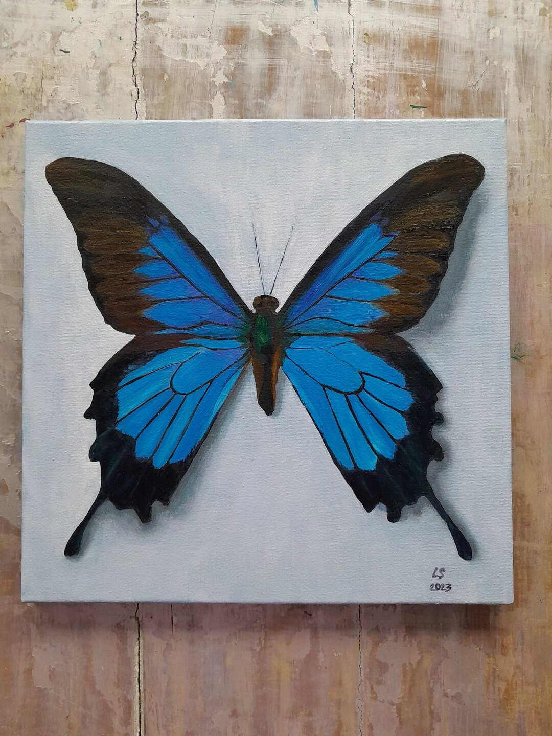 Blue Butterfly Oil Painting on Canvas Original Art Wall Art Home Decor
