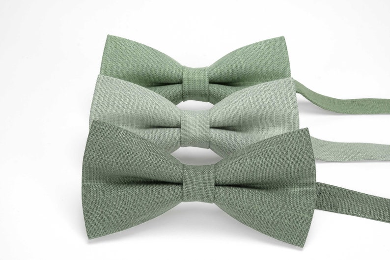 Eucalyptus, variation de couleur vert sauge pour les noeuds papillon en lin avec pochette de costume assortie, cravates, bretelles en lin naturel image 1
