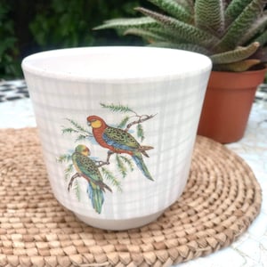 Op de afbeelding: Een witte keramische plantenpot met een geruit patroon en twee kleurrijke papegaaien op een tak. De pot staat op een geweven rieten mat.