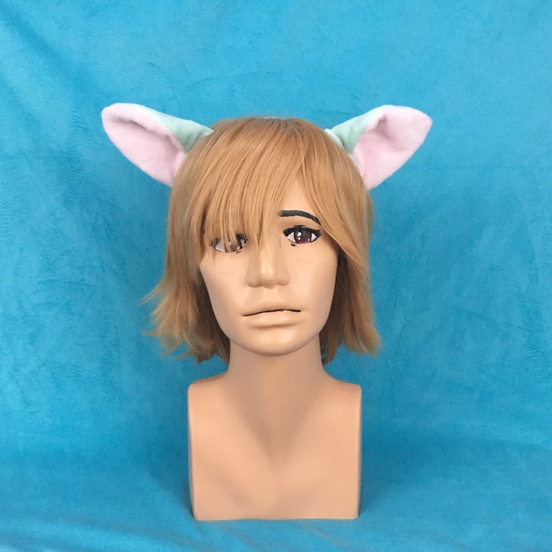 Tail And Ears Minty Kitty Cosplay Set