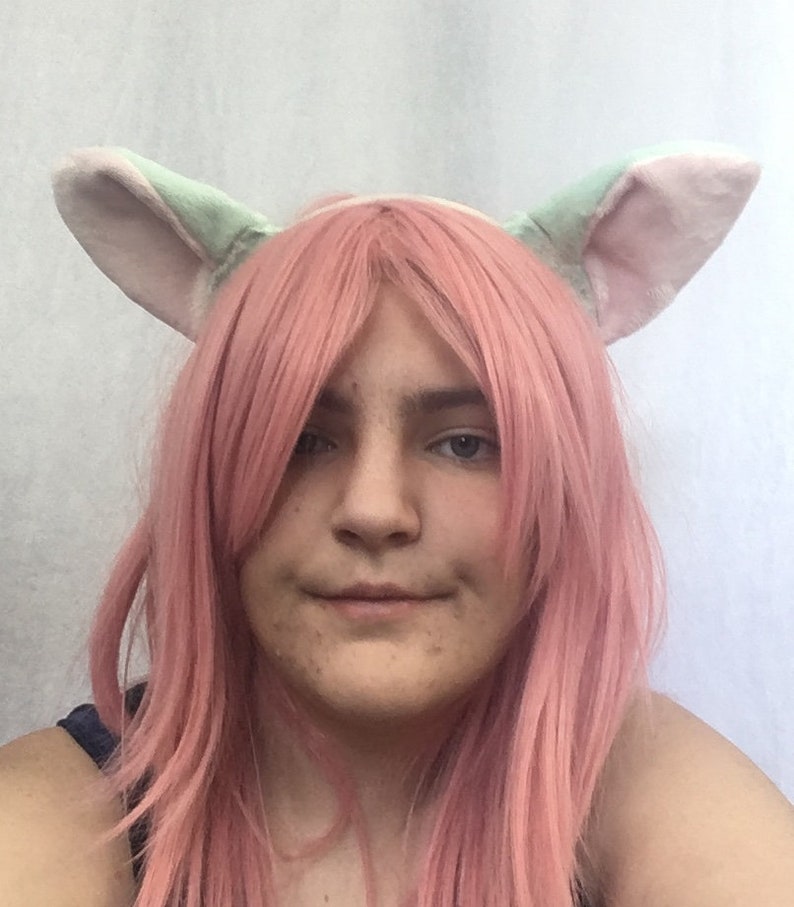 Tail And Ears Minty Kitty Cosplay Set