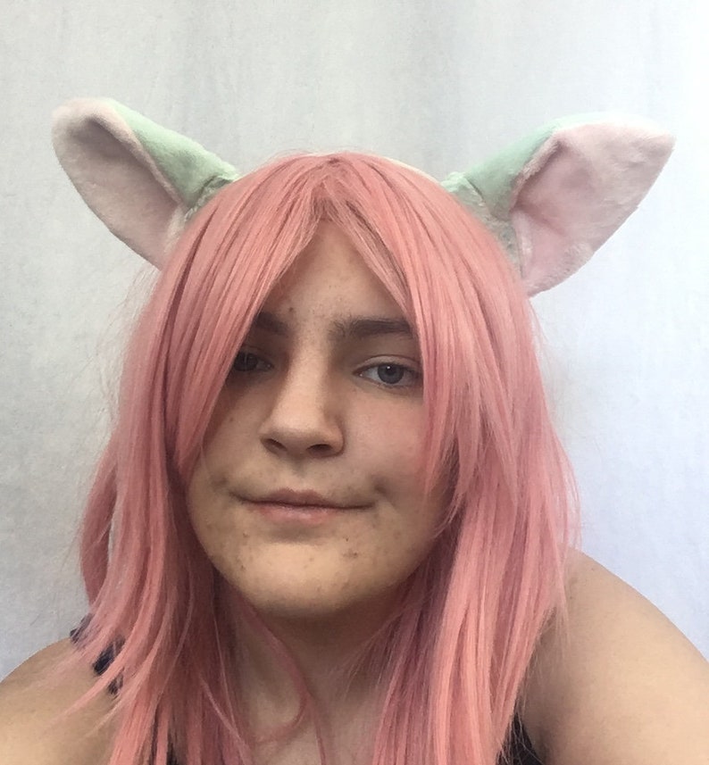 Tail And Ears Minty Kitty Cosplay Set