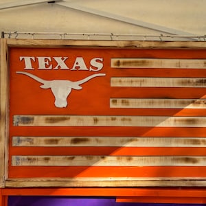May include: A wooden sign with a distressed orange and white finish. The sign features a longhorn steer silhouette and the word "TEXAS" in white lettering. The sign is framed in wood and has a rustic look.