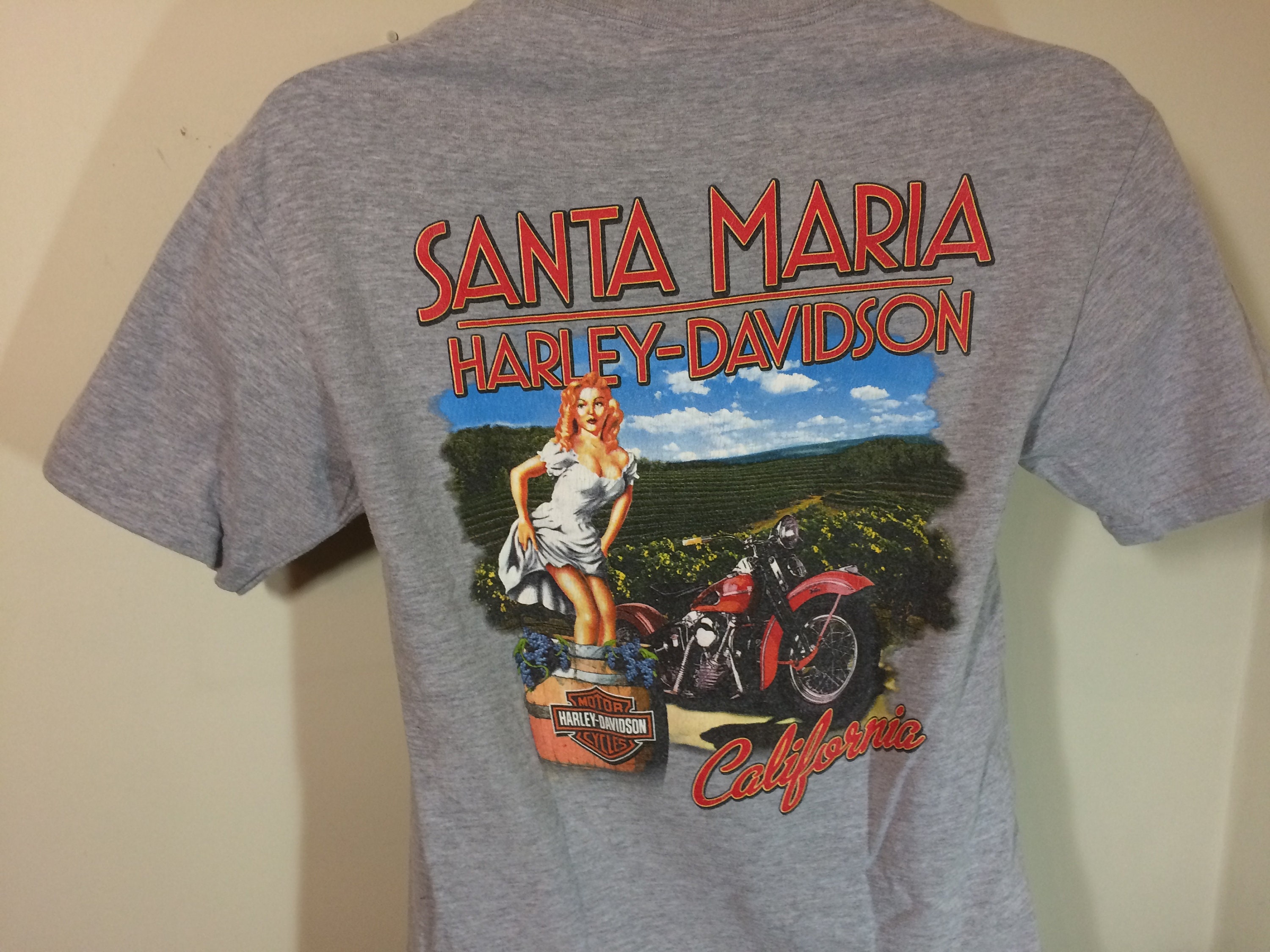 HARLEY DAVIDSON MOTOR Cycles Santa Maria, California -adult