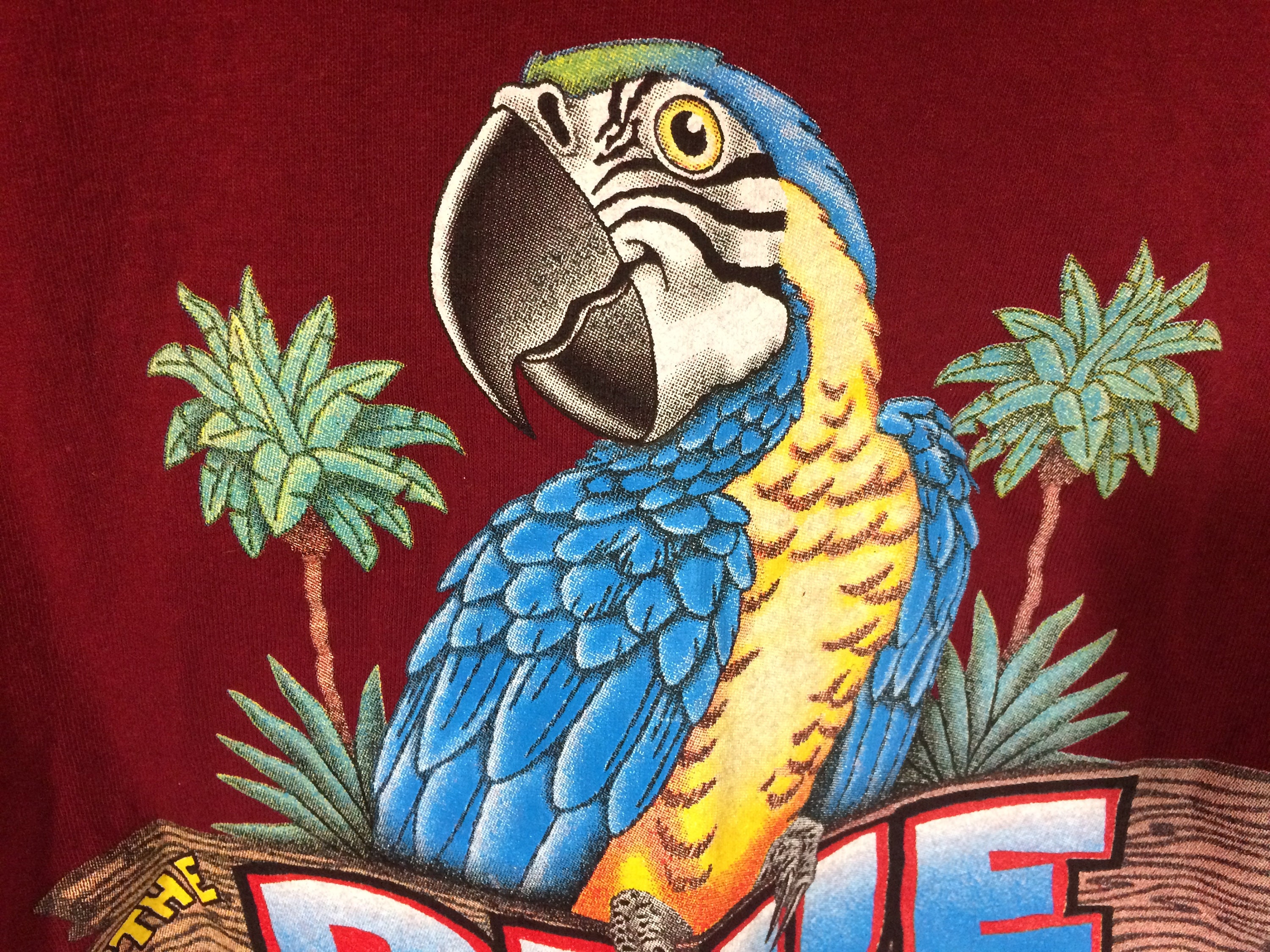 Blue Parrot St George Island - d1plvfm