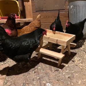 Chicknic Picnic Table for Chickens
