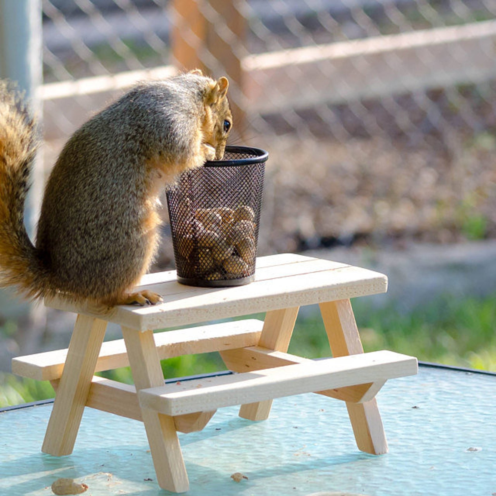 Squirrel Picnic Table Feeder - Etsy