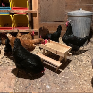 Chicknic Picnic Table for Chickens - Etsy