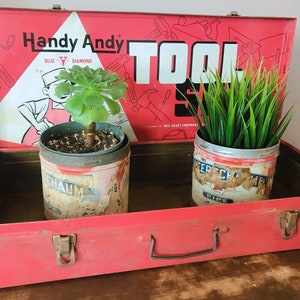 May include: Red metal toolbox with a "Handy Andy Tool Set" logo. The toolbox is open and contains two potted plants. One plant is a succulent in a tin can with the word "Schaum" on it. The other plant is a green bush in a tin can with the word "Pipe" on it.