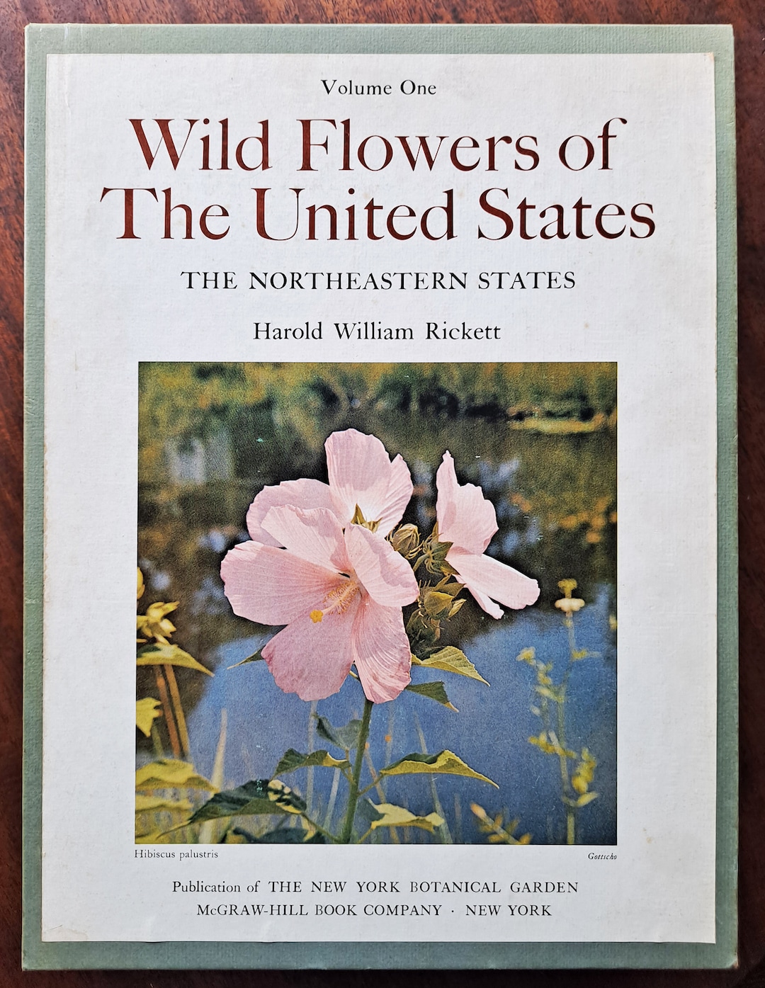Wildflowers of the United States Vol 1 Northeastern States 2 Etsy