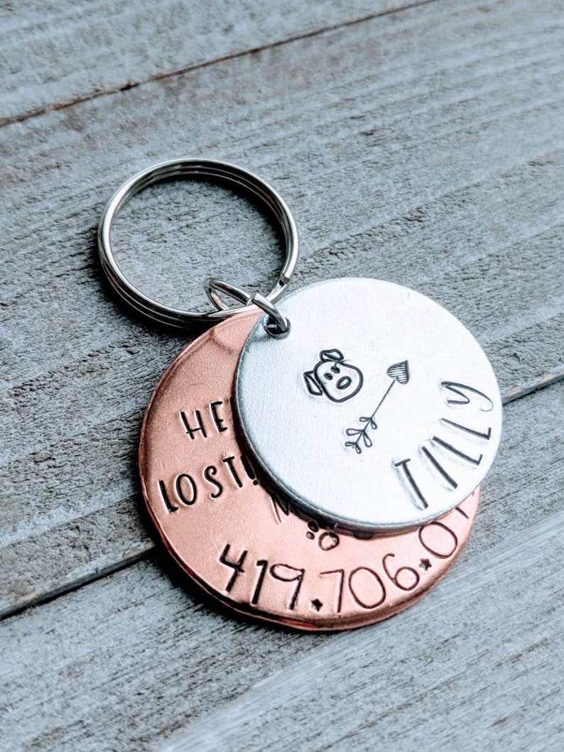 Pet ID Tag With Microchip Number and Phone Number. Hand Etsy Canada