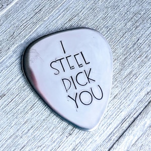 11th Anniversary Guitar pick/ I steel pick you/  anniversary present/ Gift for spouse. Steel. I still do. Traditional anniversary gift.