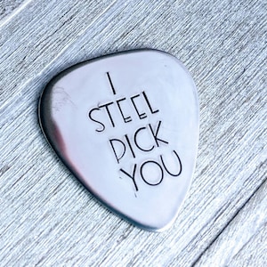 I steel pick you 11th Anniversary Guitar Pick - Traditional steel anniversary gift for spouse - Add leather case option - Hand stamped